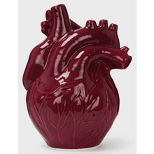 Cargar imagen en el visor de la galería, Ana-Tomic Vase