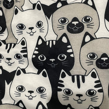 Cargar imagen en el visor de la galería, Cutie V Cats Hoodie
